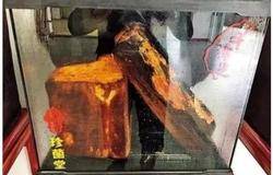 案涉6.6亿元，赣州检察机关依法对一传销团伙提起公诉