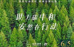 助力碳中和 安然在行动——2022 年度公益植树活动圆满收官