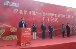 双迪食用菌产业基地揭牌暨康芝源工厂开工