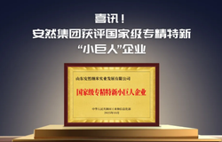安然集团获评国家级专精特新“小巨人”企业