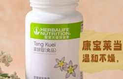 康宝莱当归洋甘菊片（当归锭）焕新登场