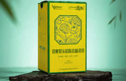 安惠新品猴头菇陈皮普洱茶